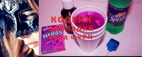 apvp Бикин
