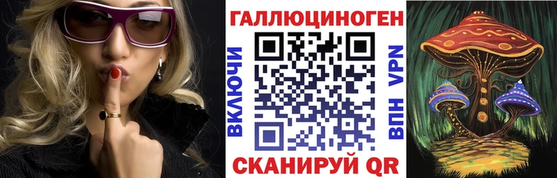 дарнет шоп  Навашино  Псилоцибиновые грибы Cubensis 